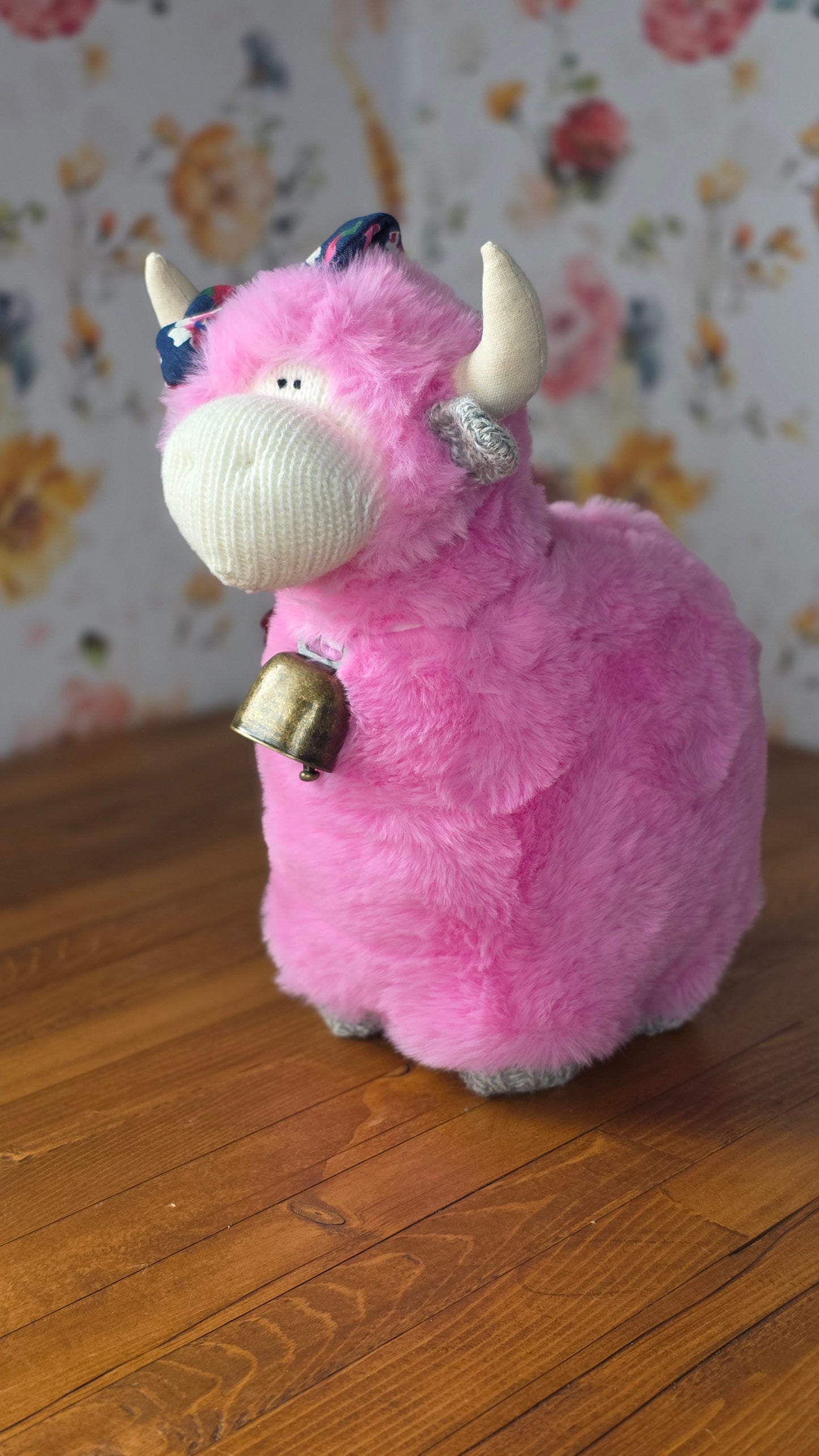 May - Highland Cow