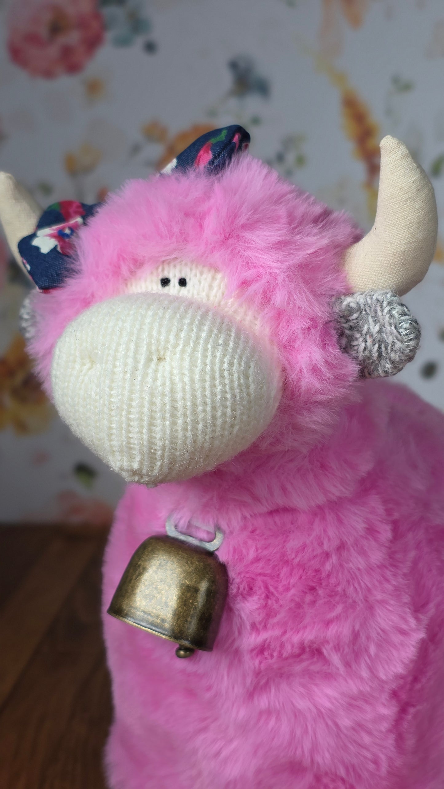 May - Highland Cow
